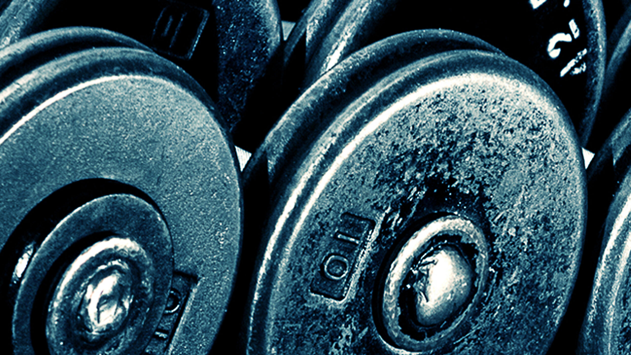 Image of Adapt Nutrition brand imagery example, dumb bell weights