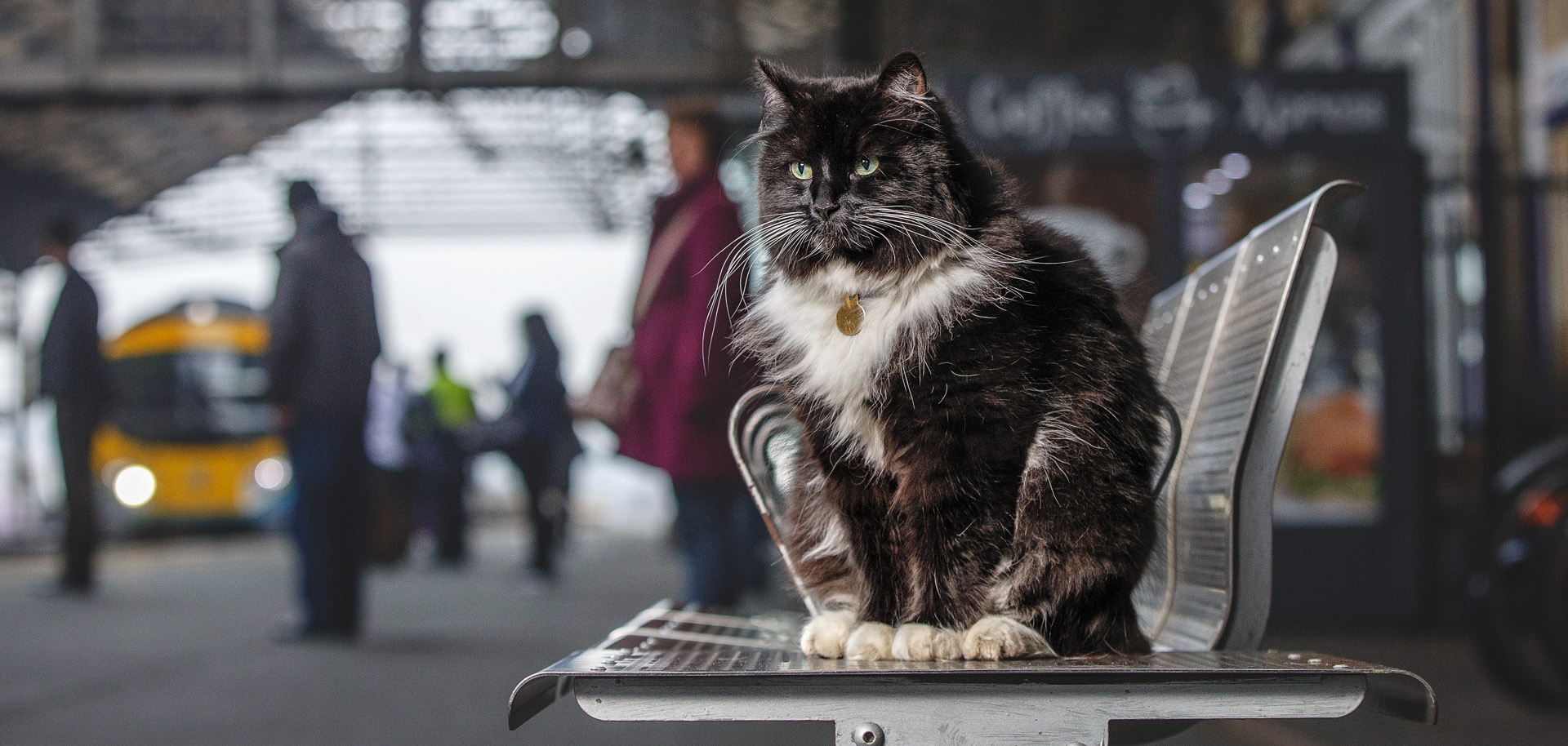 Felix the Cat