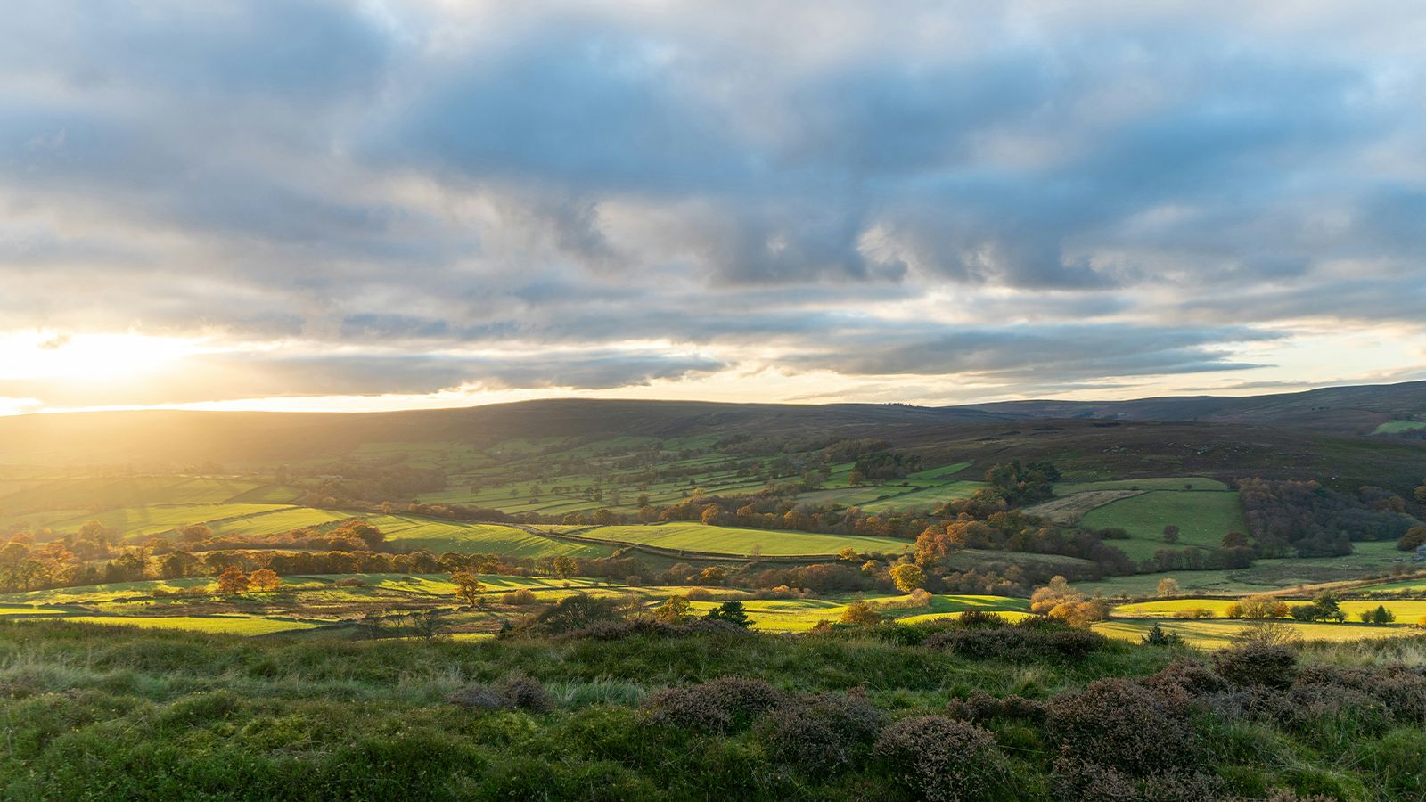 Moorland in West Yorkshire.