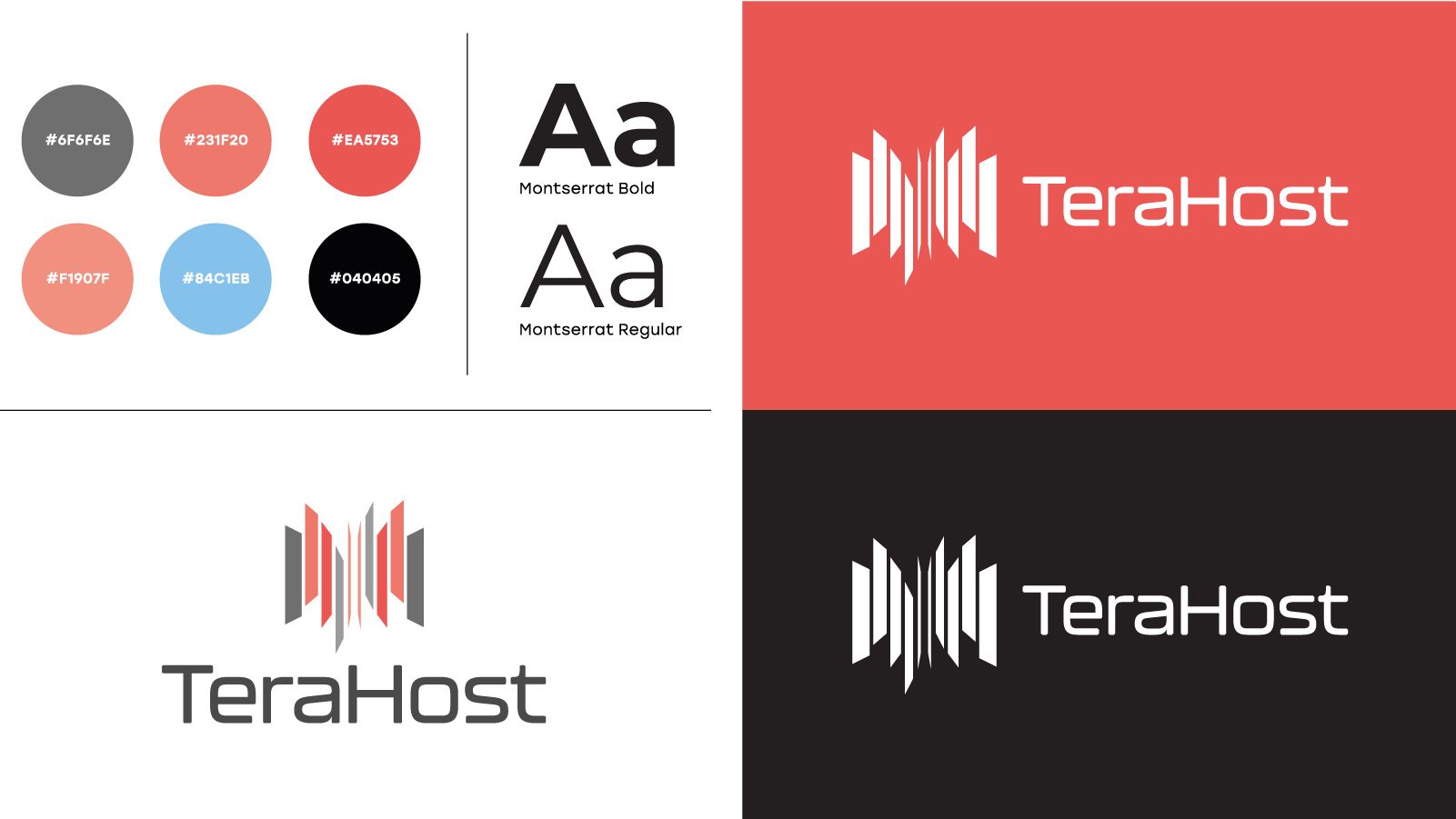 An image of a selection of logo types for TeraHost.