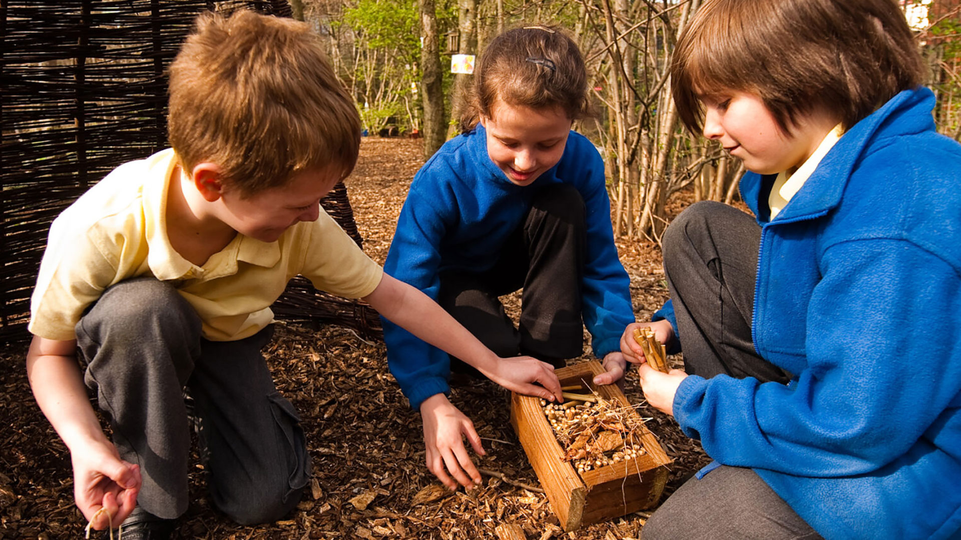 Eco-Schools website header