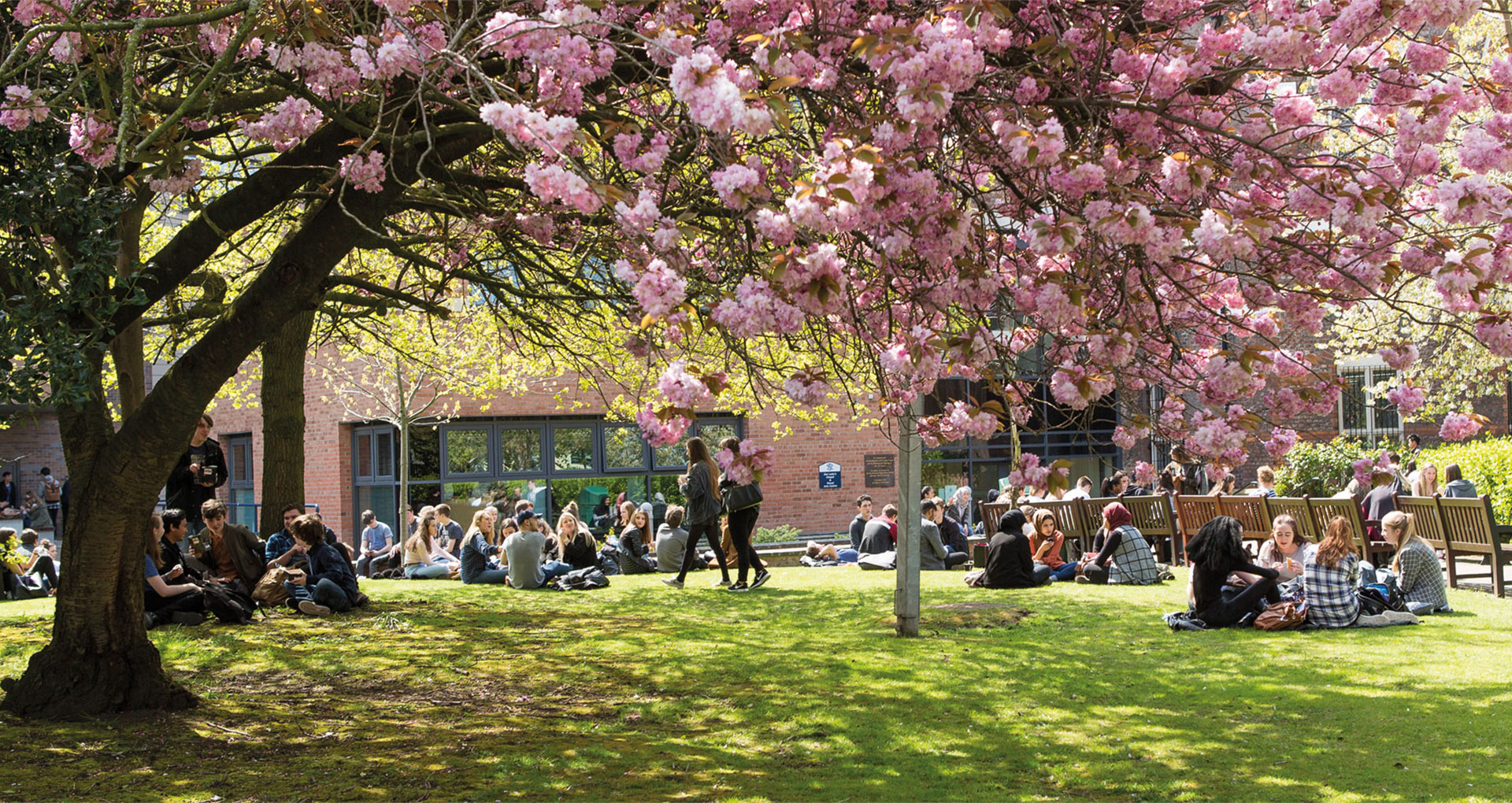 Loreto College Brand Photo 3