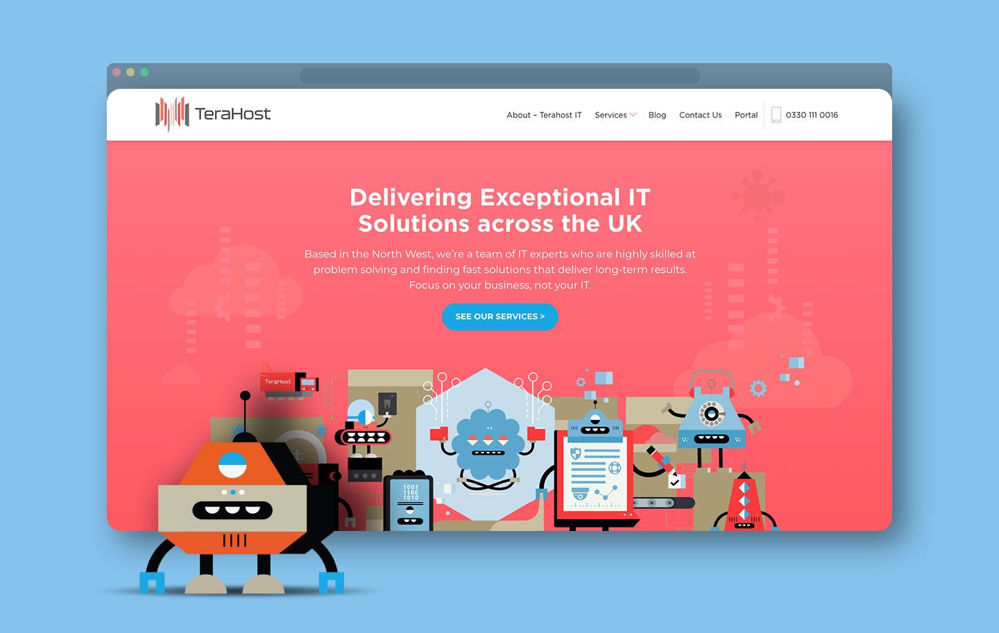 TeraHost website Home Page