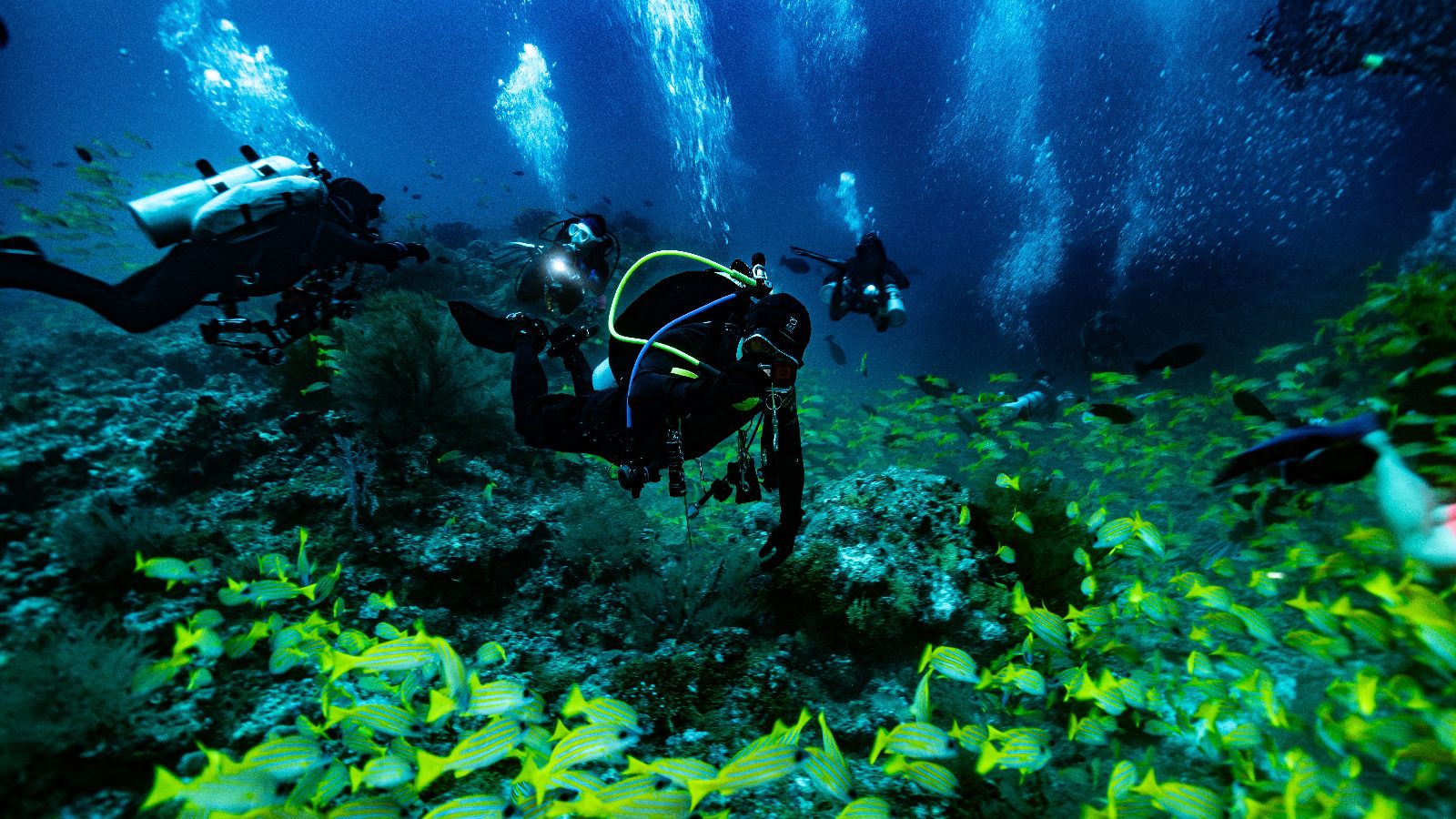 A diver in a wetsuit under water.