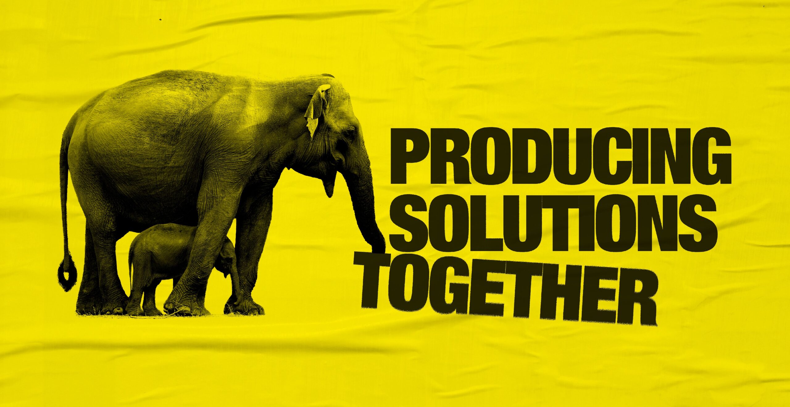 An elephant with the words 'Producing Solutions Together' next to it.